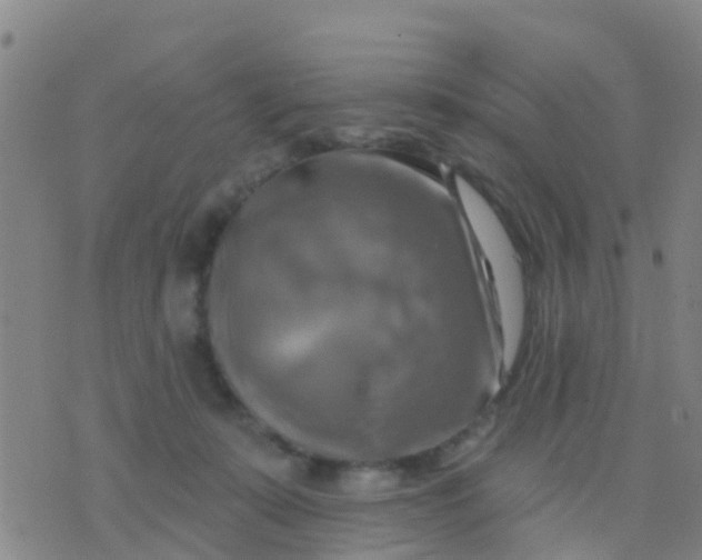 X0000075830319200610061828