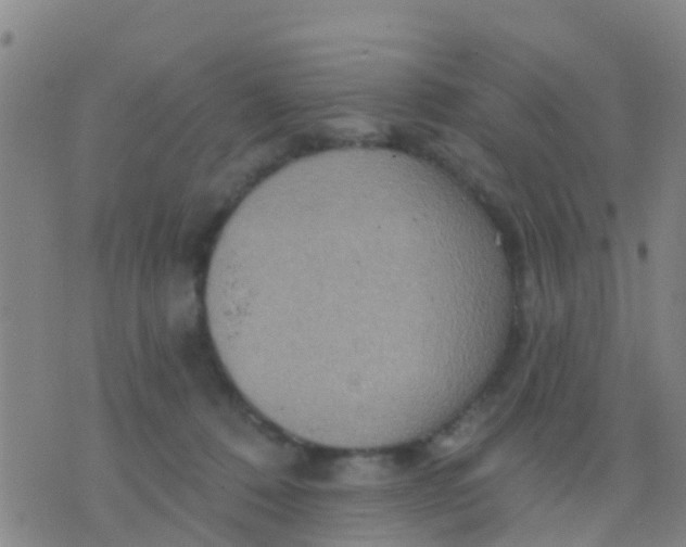 X0000075830320200610061828