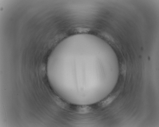 X0000075830321200610061828