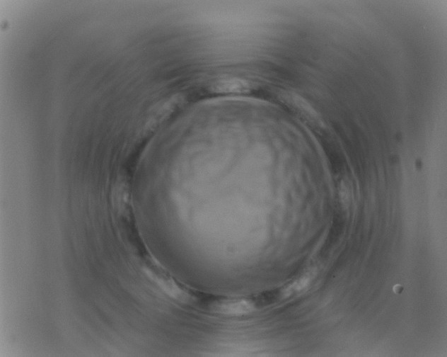 X0000075830322200610061828