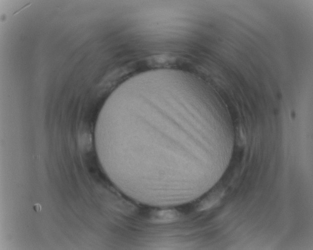 X0000075830324200610061828