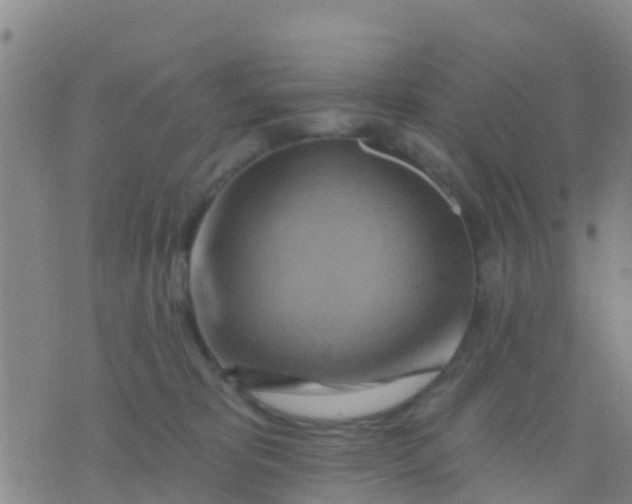 X0000075830325200610061828