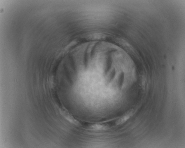 X0000075830326200610061828