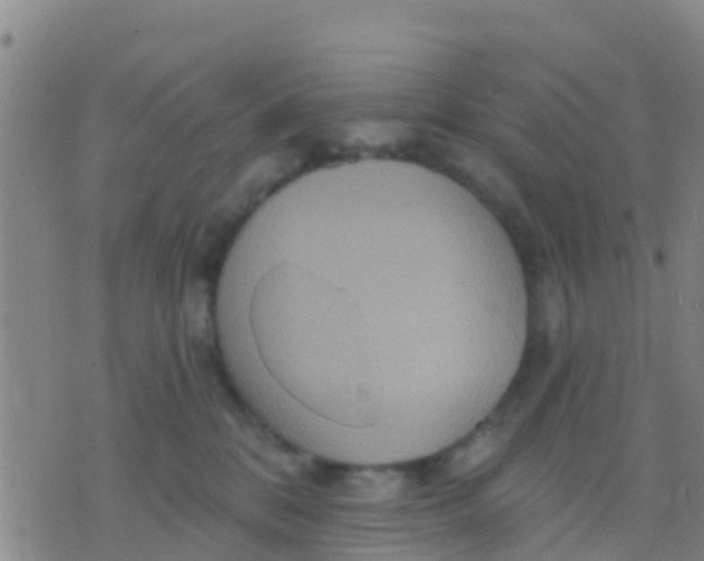 X0000075830328200610061828