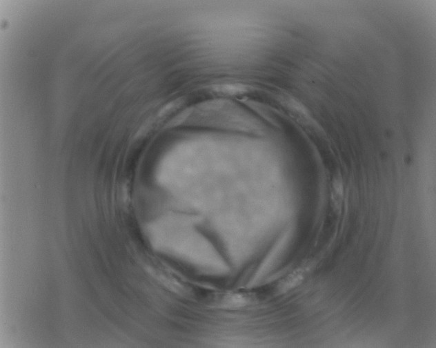 X0000075830330200610061828