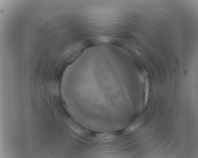 X0000075830331200610061828