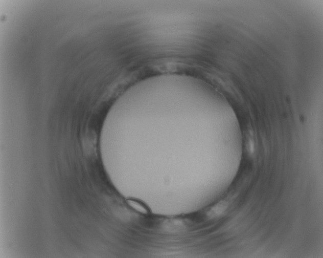 X0000075830332200610061828