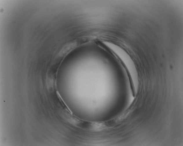 X0000075830333200610061828