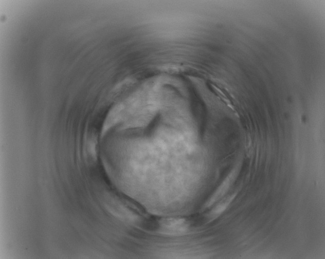 X0000075830334200610061828