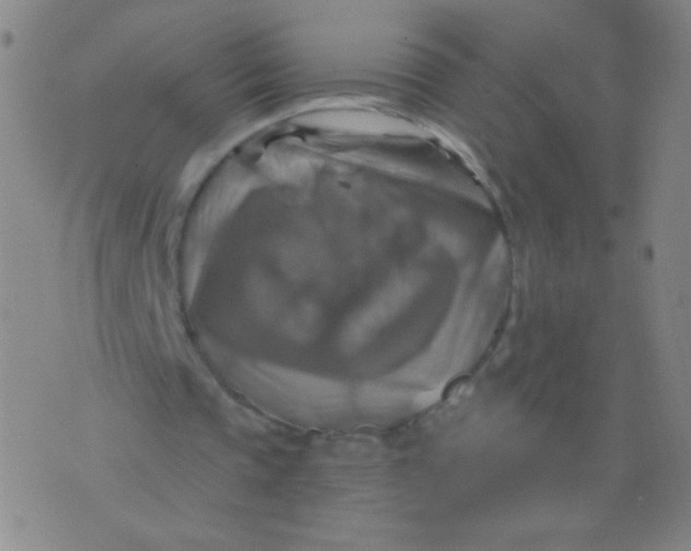 X0000075830337200610061827