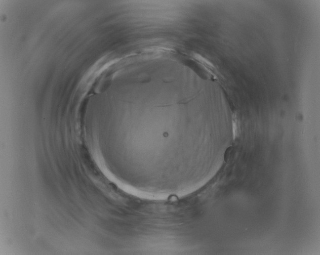 X0000075830339200610061827