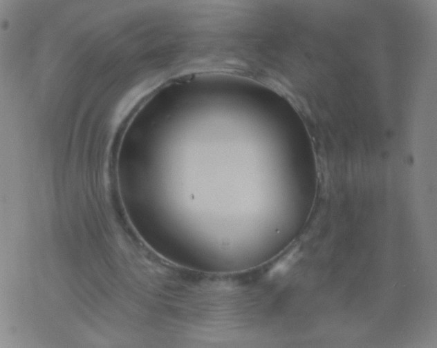 X0000075830340200610061827