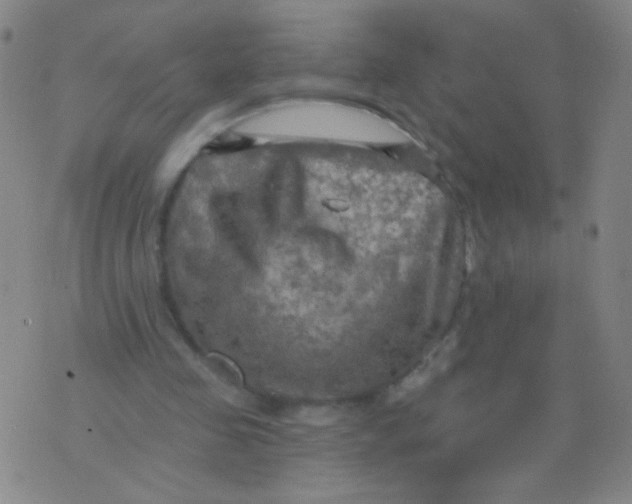 X0000075830341200610061827