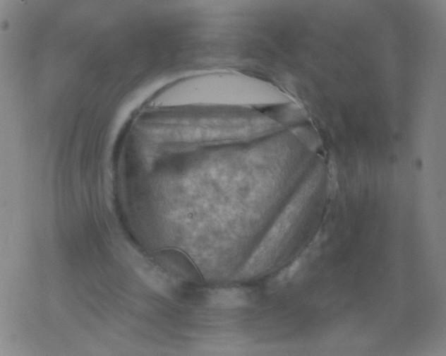 X0000075830342200610061827