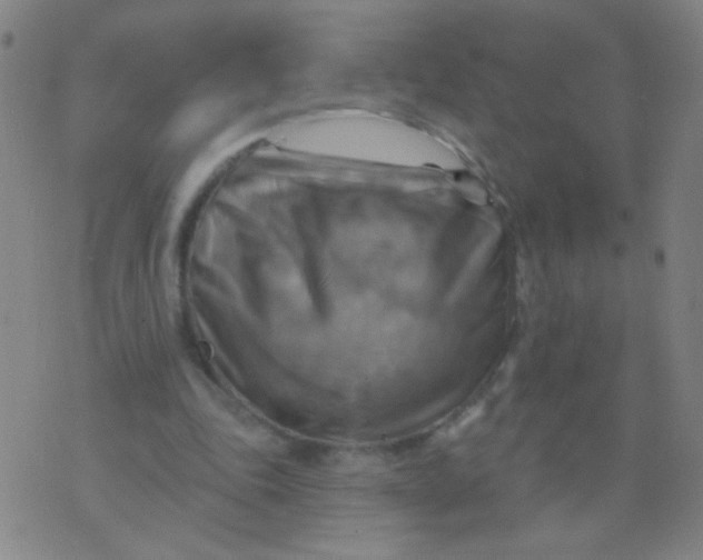 X0000075830343200610061827