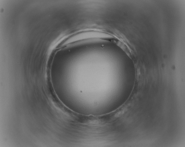 X0000075830344200610061827