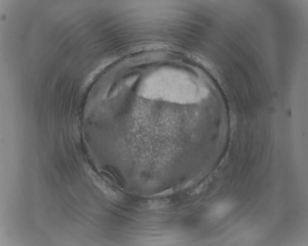 X0000075830345200610061827