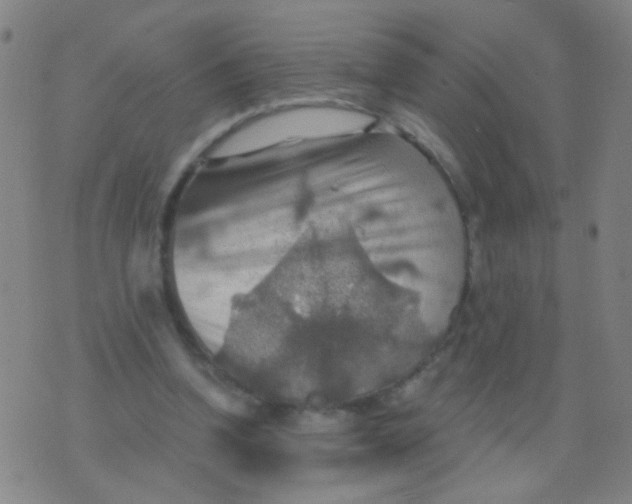 X0000075830346200610061827