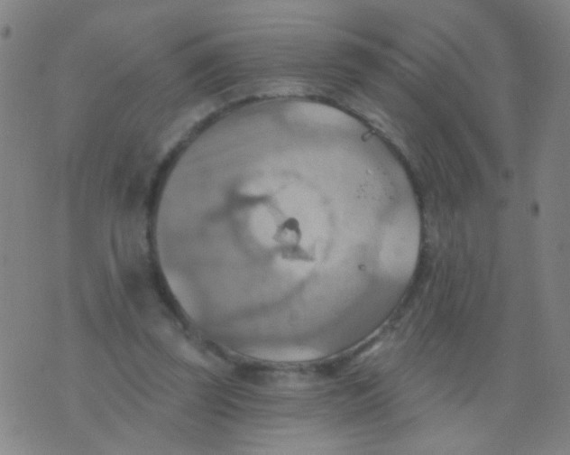 X0000075830347200610061827