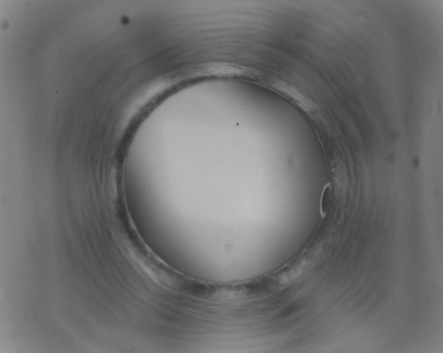 X0000075830350200610061828