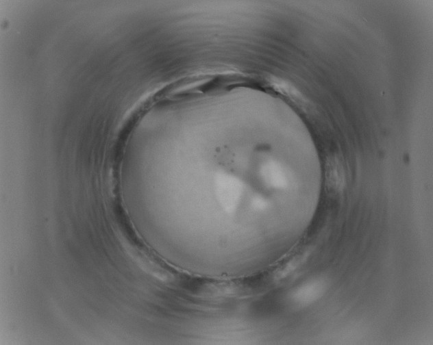 X0000075830351200610061828