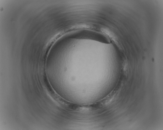 X0000075830352200610061828