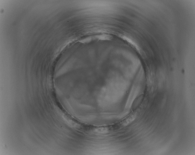 X0000075830353200610061828