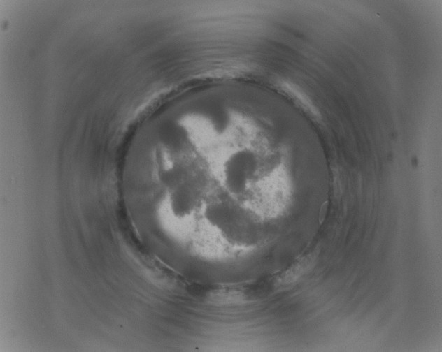 X0000075830354200610061828