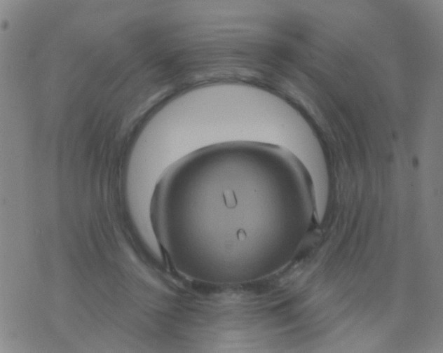 X0000075830356200610061828