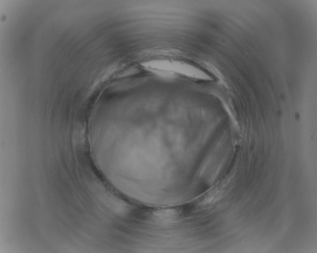 X0000075830357200610061828