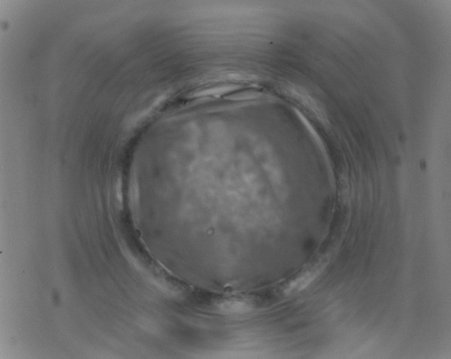 X0000075830358200610061828