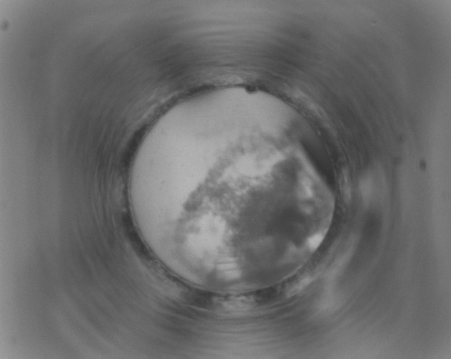 X0000075830359200610061828