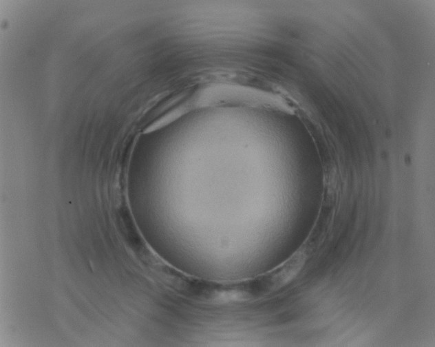 X0000075830360200610061828