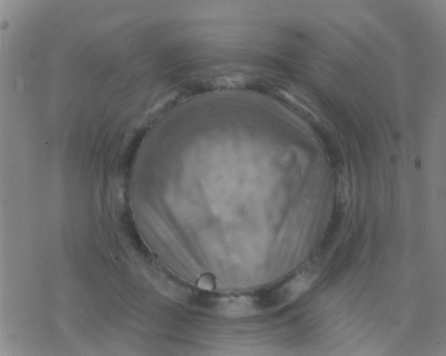 X0000075830363200610061828