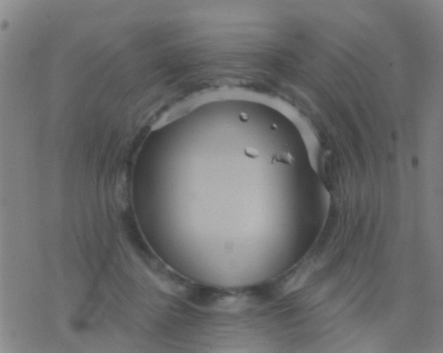 X0000075830364200610061828