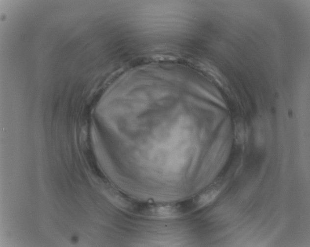 X0000075830365200610061828