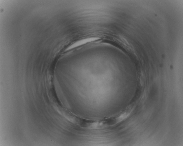 X0000075830366200610061828