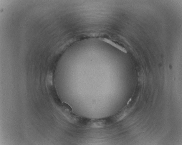 X0000075830368200610061828