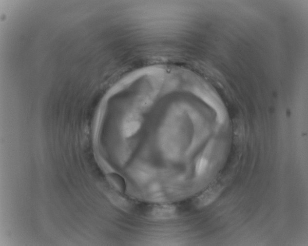 X0000075830369200610061828