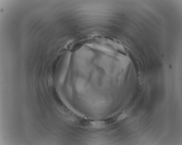 X0000075830371200610061828