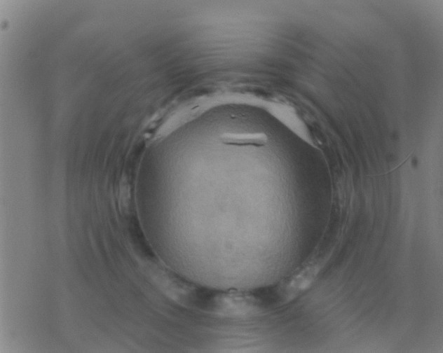 X0000075830372200610061828