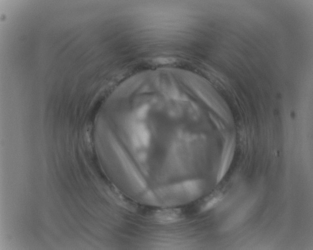 X0000075830373200610061828