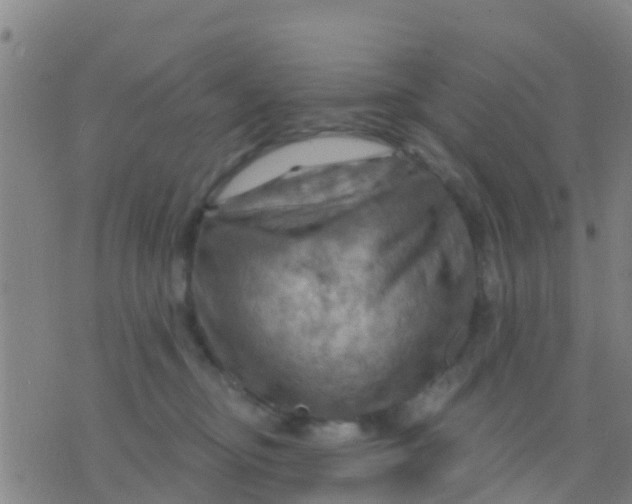 X0000075830374200610061828