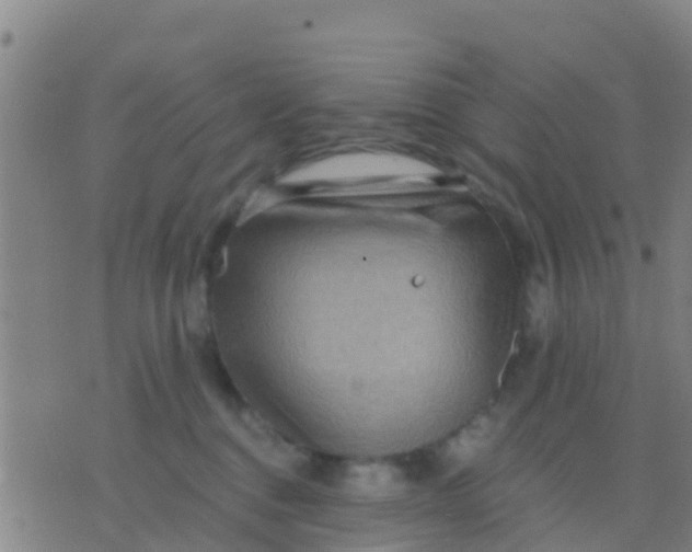 X0000075830376200610061828