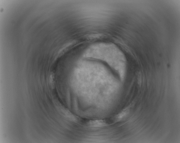 X0000075830378200610061828