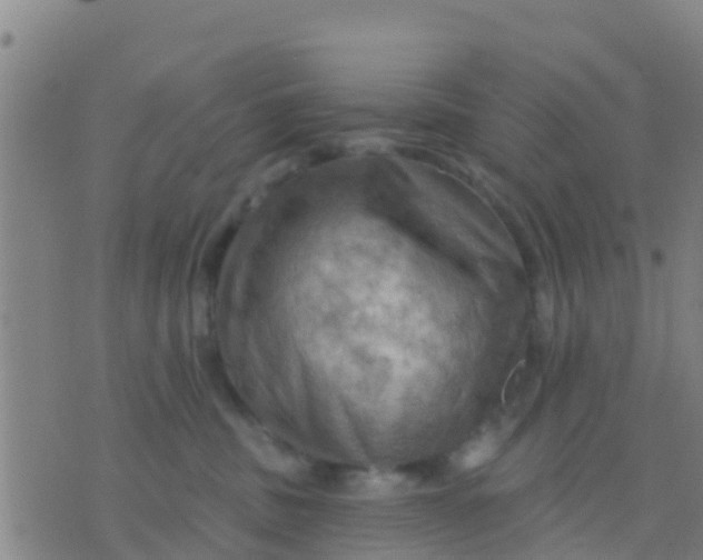 X0000075830379200610061828