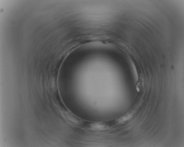 X0000075830380200610061828