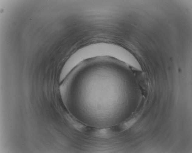 X0000075830382200610061828