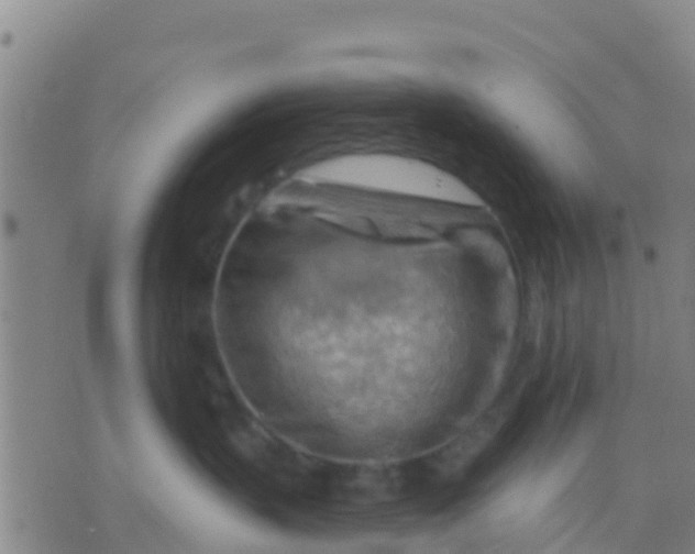 X0000075830383200610061828