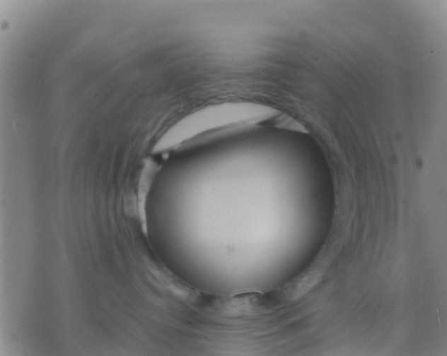 X0000075830384200610061828